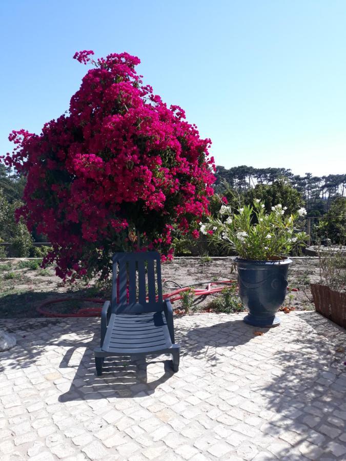 Plage Et Foret Pobral Luaran gambar