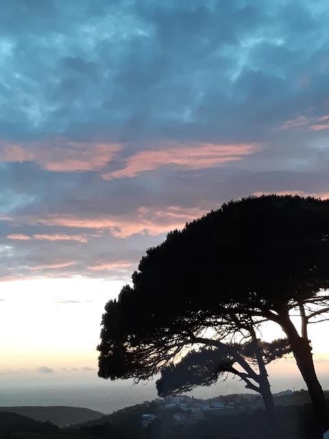 Plage Et Foret Pobral Luaran gambar